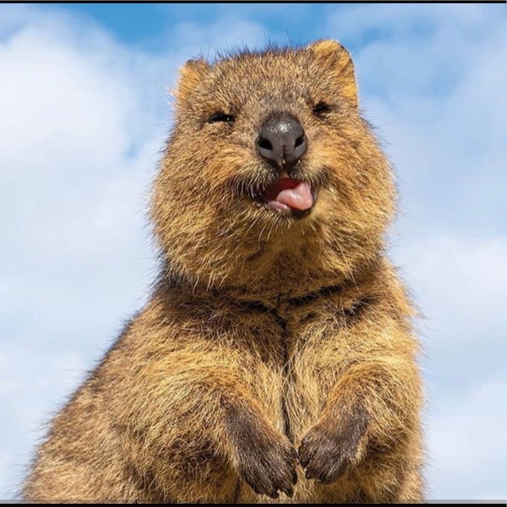 Meet your Posher, Ruby